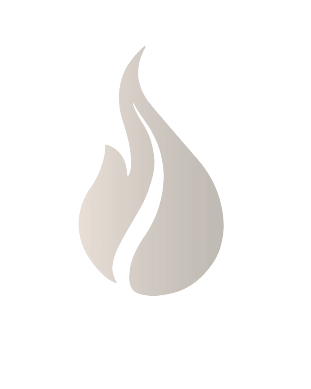 Reviva flame logo